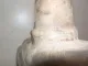 Глушитель передний