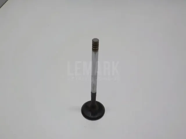 Клапан выпускной