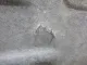 Защита антигравийная