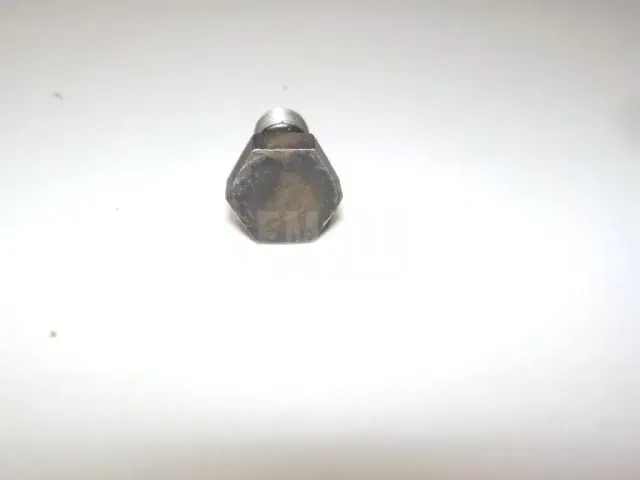 Болт полый