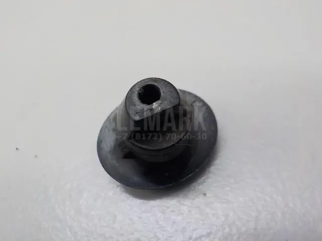 Форсунка омывателя зад стекла