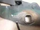 Петля капота правая