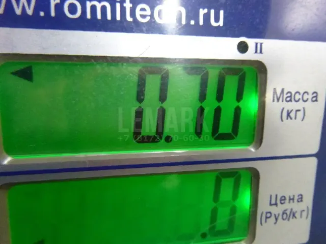Шатун