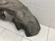 Локер задний правый для  BAIC