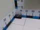Переключатель света фар для  BPW