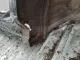 Стойка передней двери