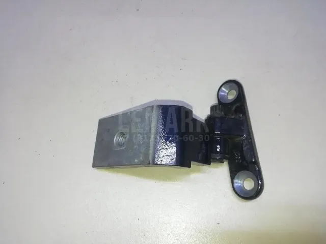 Петля двери задней правой нижняя