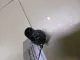Датчик давления топлива