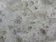 Радиатор масляный