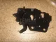 Петля крышки багажника для  BMW 2-serie F22/F23/F87 2013-2020