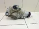 Редуктор переднего моста для  BMW X5 E53 2000-2007