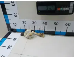 Датчик уровня топлива