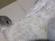 Кронштейн двигателя правый