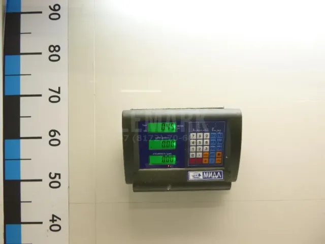 Петля двери задней левой нижняя