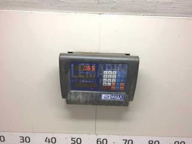 Петля двери задней левой нижняя