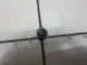 Штифт