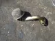 Маслозаборник для  Ford S-MAX 2006-2015
