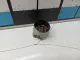 Привод ТНВД