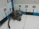 Суппорт тормозной задний левый