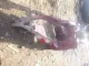 Кузовной элемент для  Chevrolet Rezzo 2005-2010
