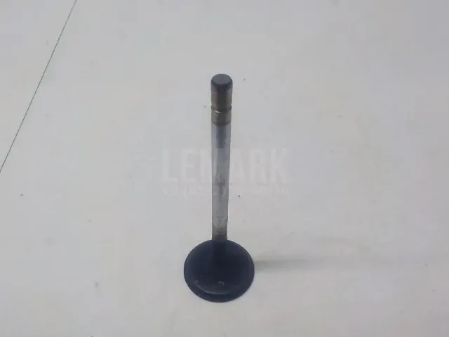 Клапан выпускной