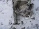 Лонжерон передний левый для  Chevrolet Rezzo 2005-2010