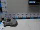 Кулак поворотный задний правый для  BMW 4-serie F32/F33/F82 2012-2020