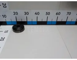 Шкив водяного насоса (помпы)