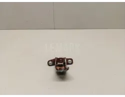 Петля двери задней правой нижняя