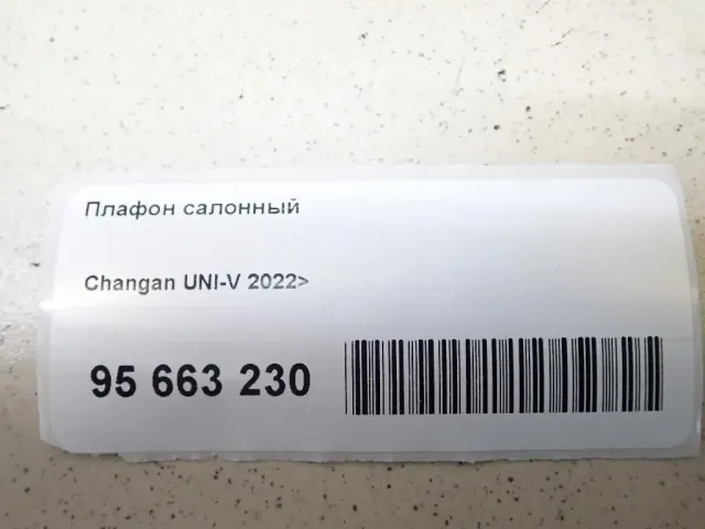Плафон салонный для  DAF 95 1987-1998