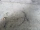 Щуп масляный для  Ford S-MAX 2006-2015