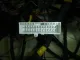 Проводка (коса) для  Citroen Jumper 250/290 2006