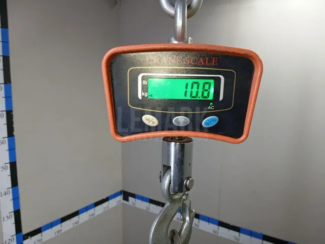Торпедо