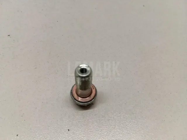 Болт полый