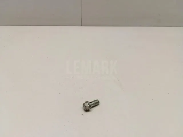 Болт полый