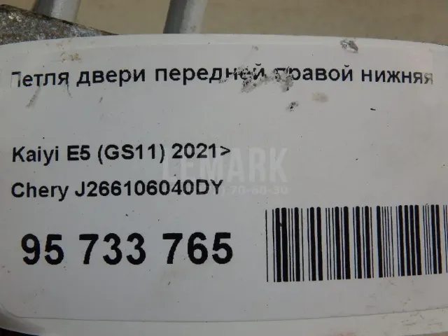 Петля двери передней правой нижняя