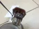 Насос (ТНВД) бензиновый
