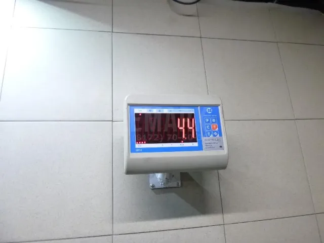 Торпедо