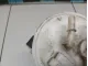 Насос топливный электрический