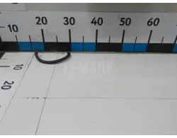 Шланг