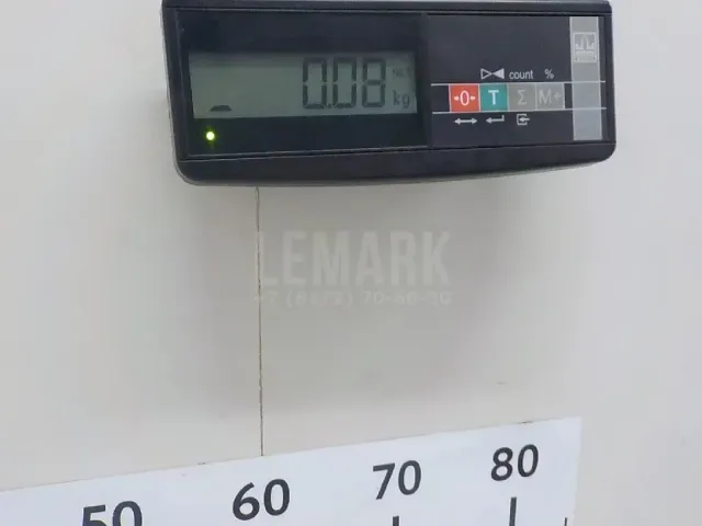 Натяжитель цепи