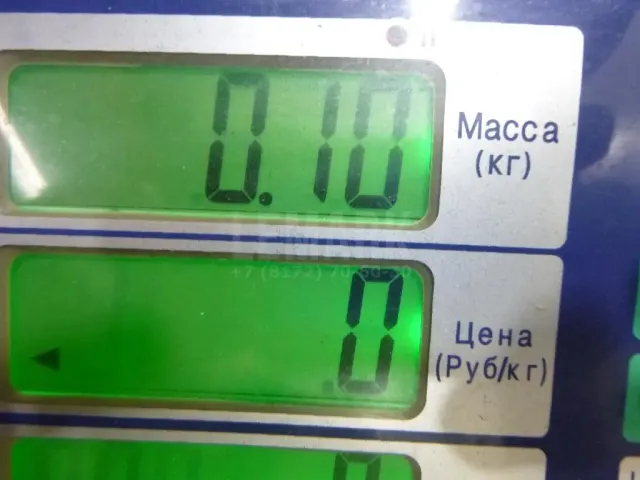 Ручка двери наружная