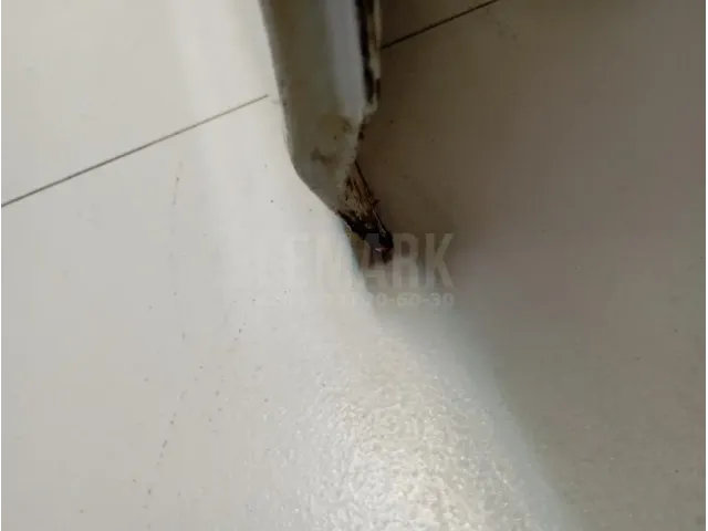 Дверь задняя правая