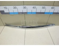 Молдинг капота