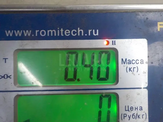 Петля двери передней