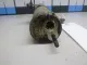 Осушитель системы кондиционирования