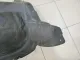 Локер передний правый для  Ford Kuga 2008-2012