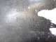 Усилитель переднего бампера