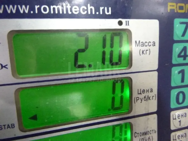 Поддон масляный двигателя