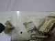 Отражатель в бампер задний правый